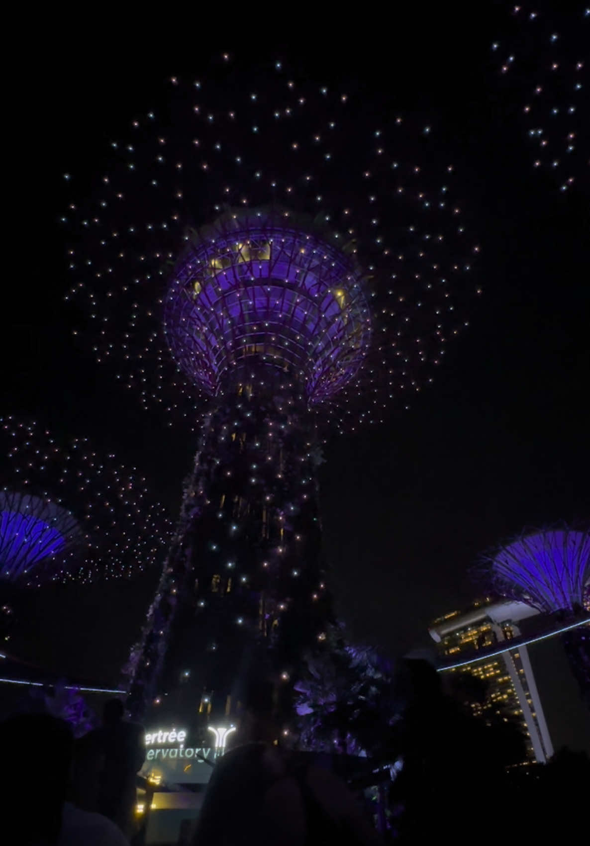 Ssstt 🤫 #fyp #foryoupage #holiday #happyme #HealingJourney #singapore #gardenbythebay #lightshow #travel 
