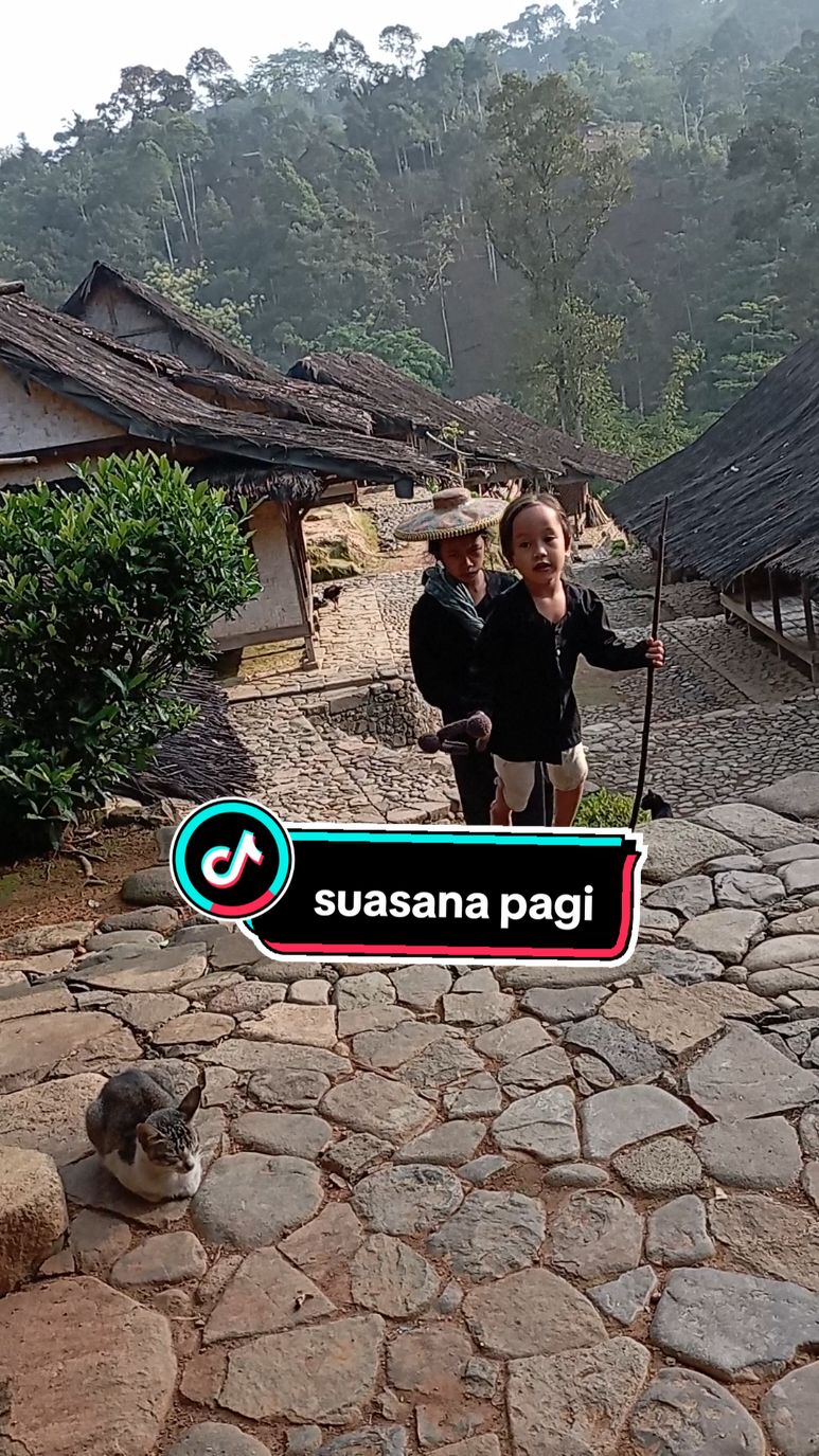 suasana pagi di kampung Baduy #baduy #baduyluar 