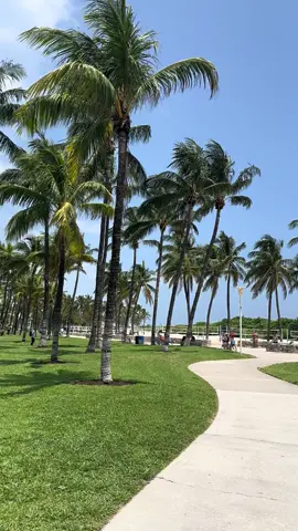 #usa🇺🇸 #miamibeach #miami #florida @City of Miami 