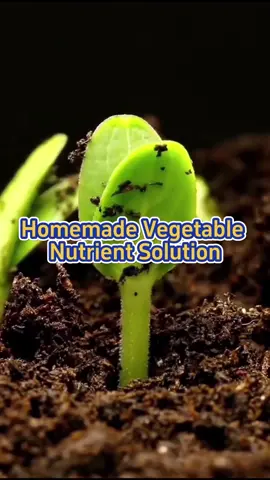 #garden #gardening #planting #farming #agriculture #vegetablegarden #fertilizer #gardeningtips 