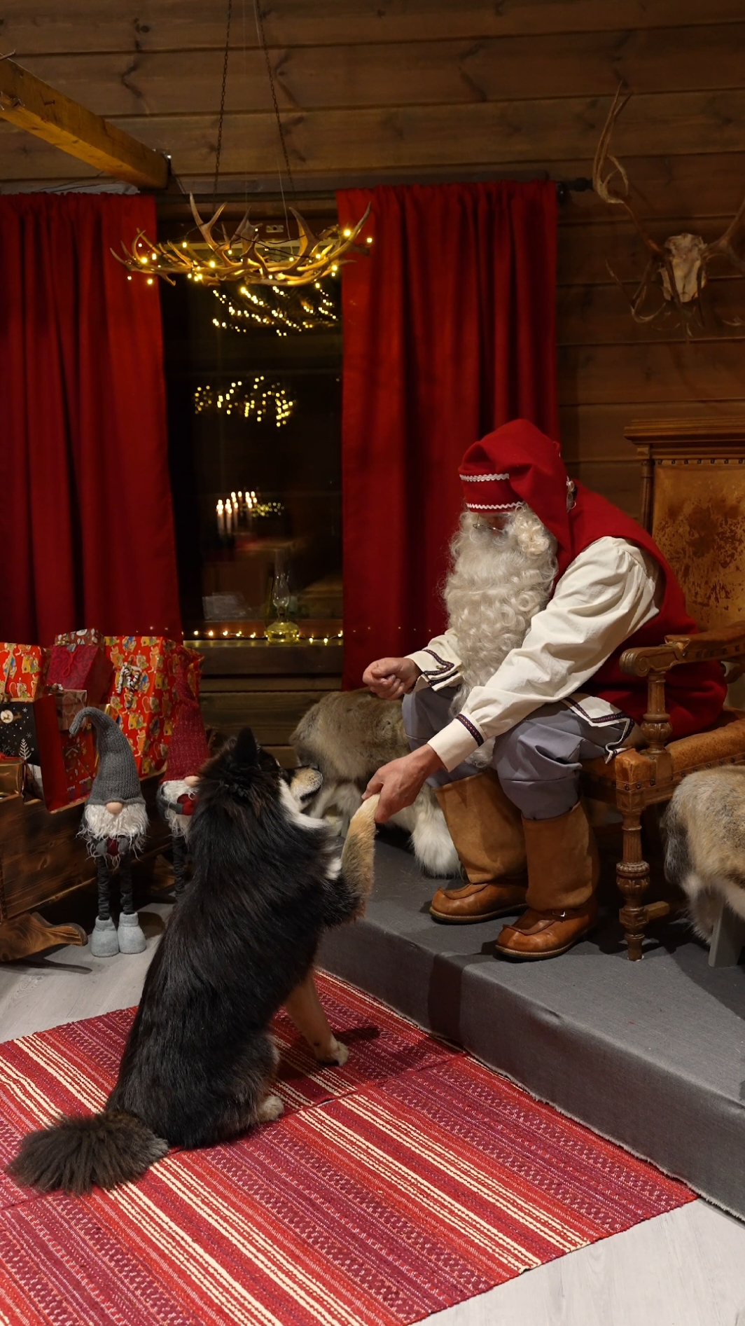 Did you know that Santa Claus is also an animal lover?🥰 Book now: privatesanta.fi #Foryou #Lapland #Finland #Santaclaus #Santa #Xmas #Christmas #merrychristmas #Fry #fyb #Foryoupage 