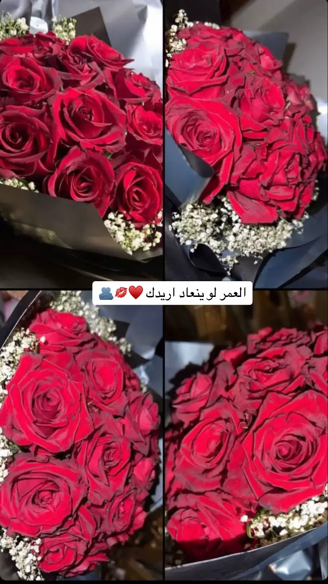 #العمر_لو_ينعاد_اريدك #عشق #tiktok #حب #عشاق #ورد  #اكسبلورexplore #CapCut #fyp #สปีดสโลว์ #youtube 