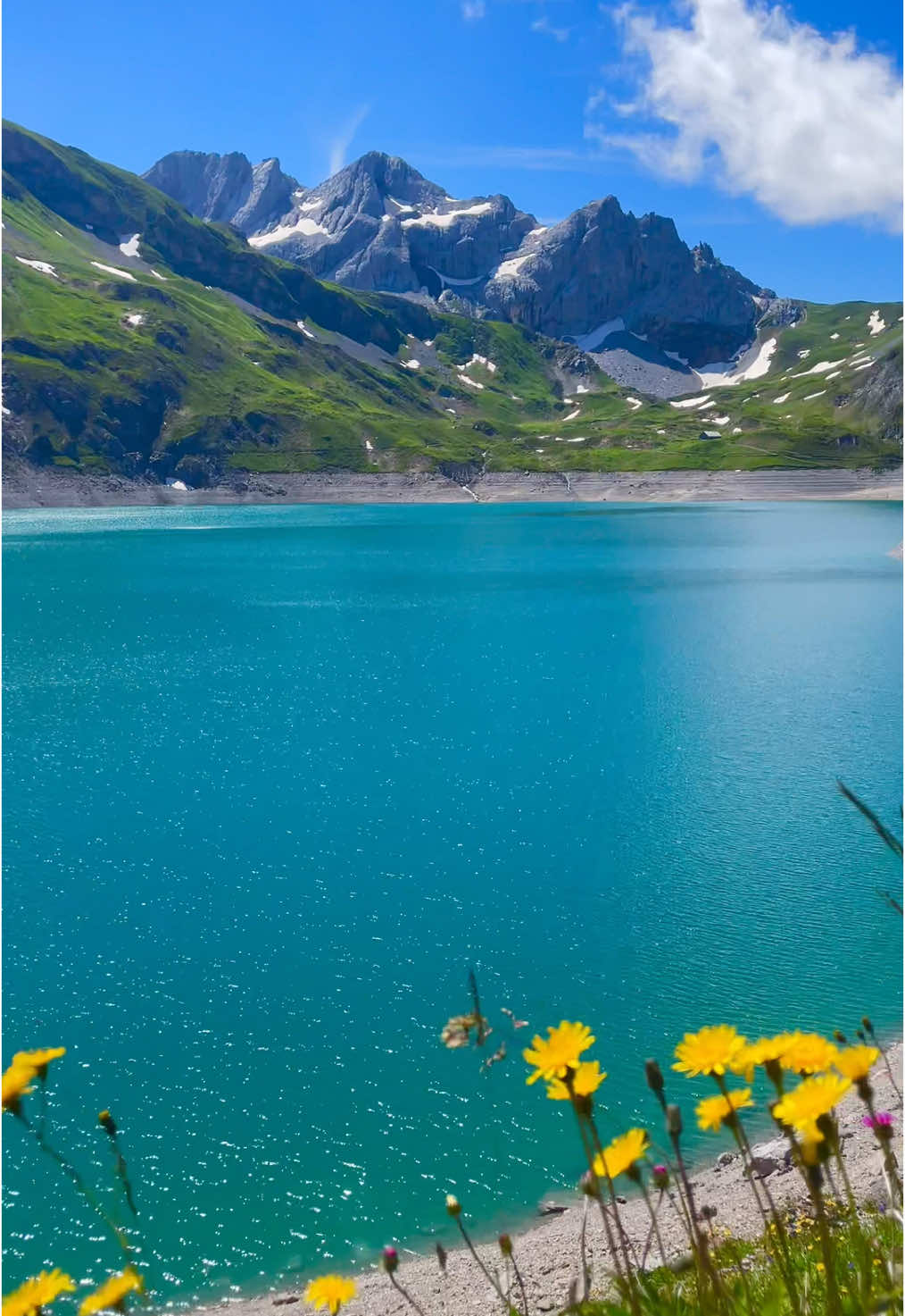 Bluest lake ever #🇦🇹 #austria #nature #mountains #lake