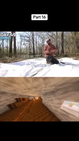 10.000$ dolars for every day you survive in the nature by MrBeast -Part 16- #fyp #youtube #mrbeast #video #viralvideos #survival #friends #nature 