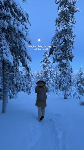 This is what its like to hike in Lapland 🥹