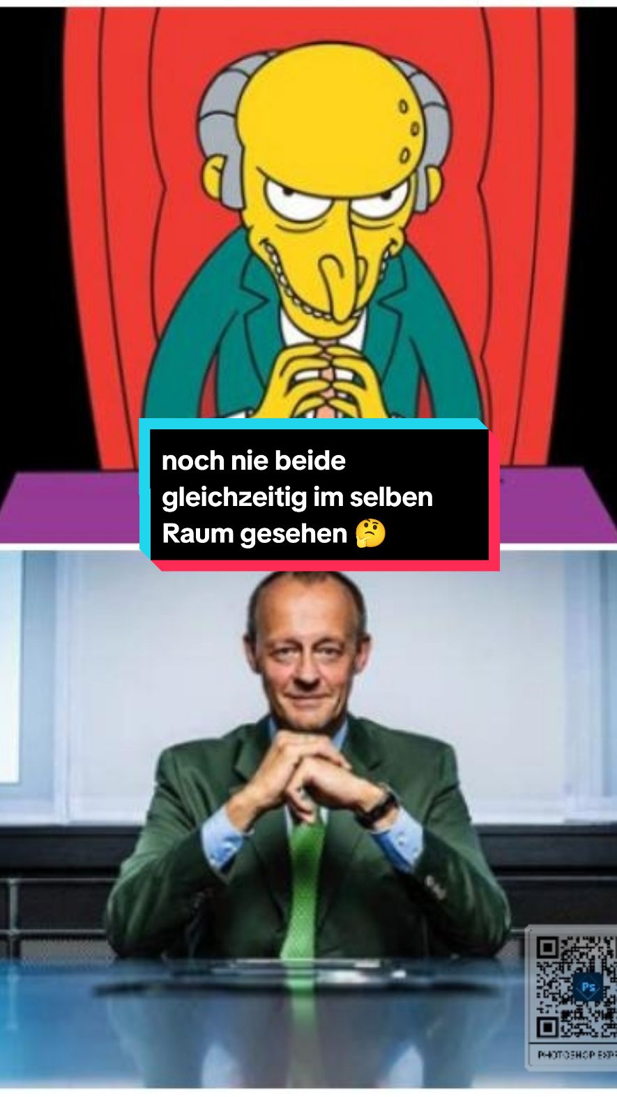 Friedrich Merz: Der Ex von Black Rock #blackrock #merz #ampel #fy #pageforyou #fyp 