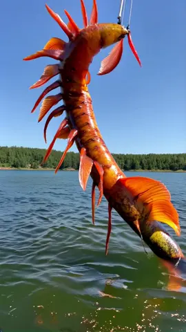 Caught a big one for you boys #gonefishing  #oldguysrule #fishinglife #weirdcore #creatures 