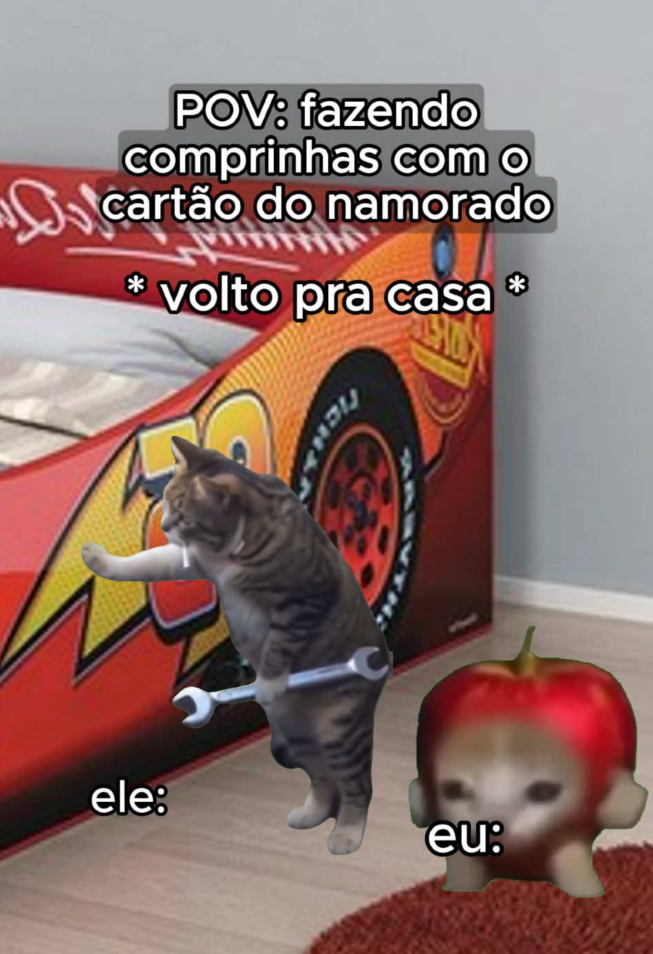 Quem vê pensa que é sempre assim… 😹😹 #casal #gatos #garinhos #memes #pov #foryou