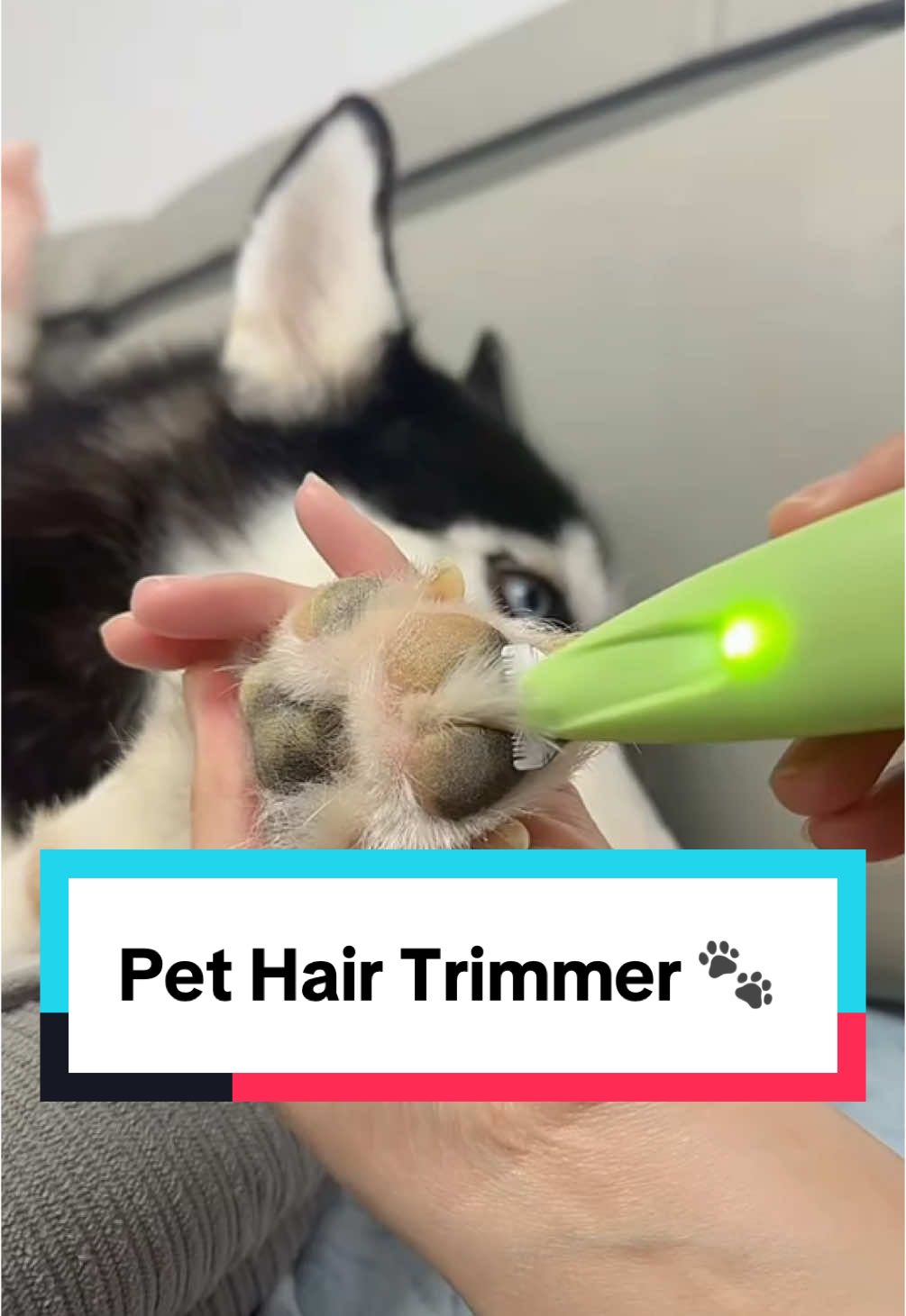 Pet Hair Trimmer 🐾 #pethairremoval #paw #dogproducts