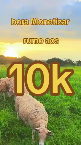 bora Monetizar 2024 atualizado hoje . #boramonetizar #monetizar #rumoaos10k #sigodevolta 