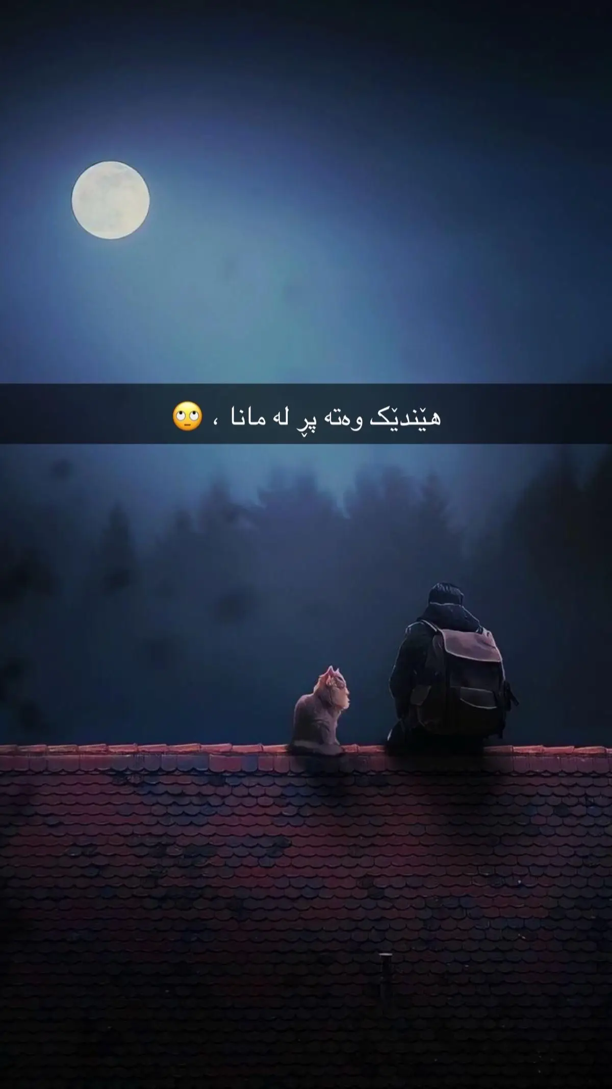 #یادەوەری🧡  1+1=1🖤