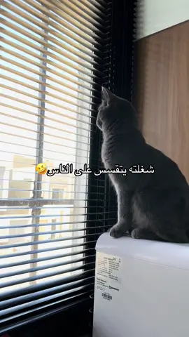 يتفرج جعفر على الي رايح والجاي #fyp #fyyyyyyyyyyyyyyyy #اكسبلور #جعفر 