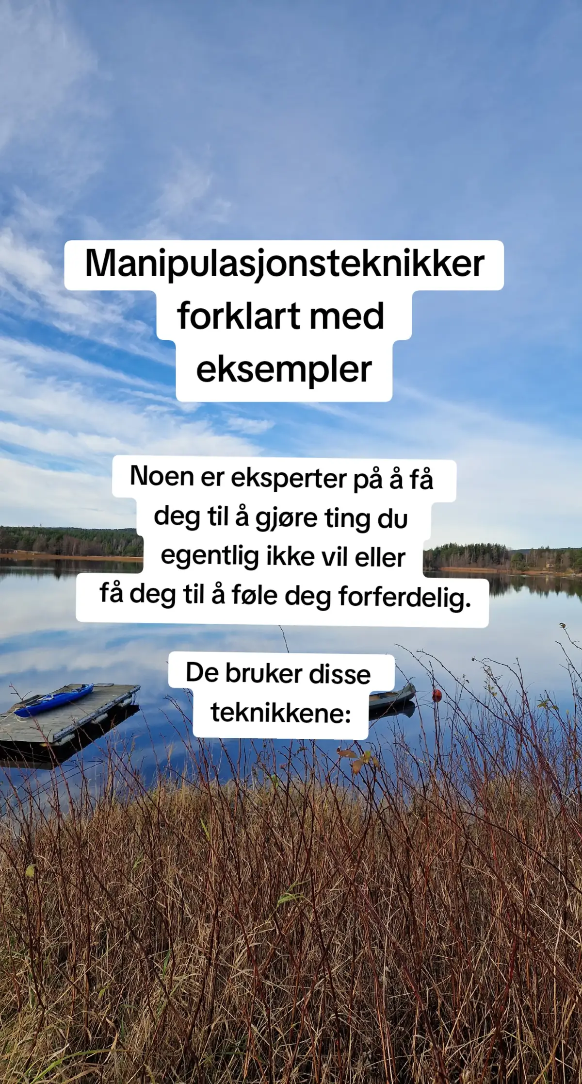 Dette er noen av de teknikkene som brukes for å forvirre og gaslighte og dermed få deg til å tvile på deg selv og å få deg til å gjøre noe du ellers ikke ville ha gjort. #manipulasjon #hersketeknikk #lærpåtiktok 