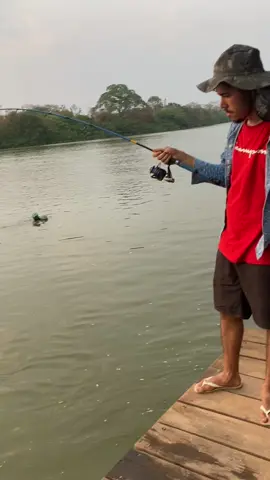 😂🎣 #pescariaesportiva #peixe #pescarianaceva #fy #pantanal #riocuiaba #piau #piaucu #matogrosso #pescaria #trending #pescariaraiz #mato 