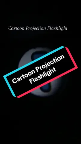 Anak-anak lebih fokus mengenal nombor,haiwan,kenderaan dan makanan..  #projectionflashlight #flashlightchallenge #fyp #gameanak 