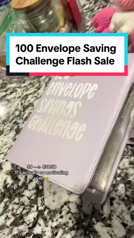 Never saved so much money before 😭 #100envelopechallenge #envelopechallenge #savingmoney #tiktokshopblackfriday #tiktokshopcybermonday #freeshipping 
