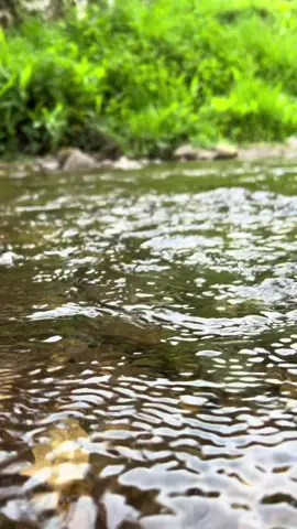 La verdadera belleza está en lo simple de la vida    #rio #piedras #Oxapampa