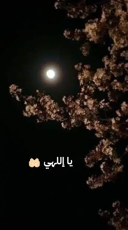 اللهم اصلح شأننا كله ولا تكلنا إلي انفسنا طرفة عين🤎🤲🏻