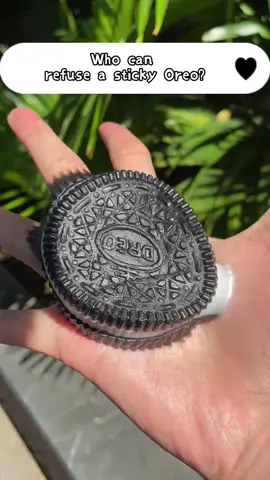 I like this too much#squishy #stressful #tabasquishies #taba #oreo 
