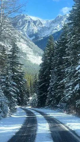 Driving through the heart of Banff 🏔️✨ The mountains remind you how small you are in the most beautiful way. 🌿 #BanffAlberta #MountainMagic #NatureHumblesYou #BucketListViews #fyp #albertacanada #traveltiktok #naturelover #grateful 