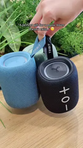 When they say there’s no perfect gift for a music lover 🫠 #creatorsearchinsights #Tribit #StormboxMini #tribitaudio #unboxing #bluetoothspeaker #musiclover #fypシ #fyp 