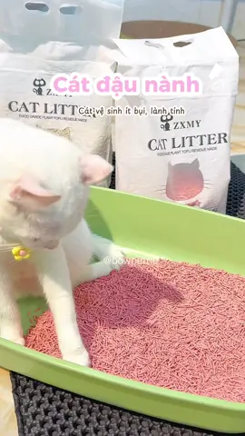 Cát đậu nành cho mèo cái mùi mê,eeeeeee , nó dịu lắm mà vón tốt nha #trending #xuhuong #bowpetne #catdaunanh #catmeo #catvesinhchomeo 