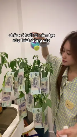 đây là cây t iu quý nhứttt #tiktok #xuhuong #yfp #viral #viralvideo 