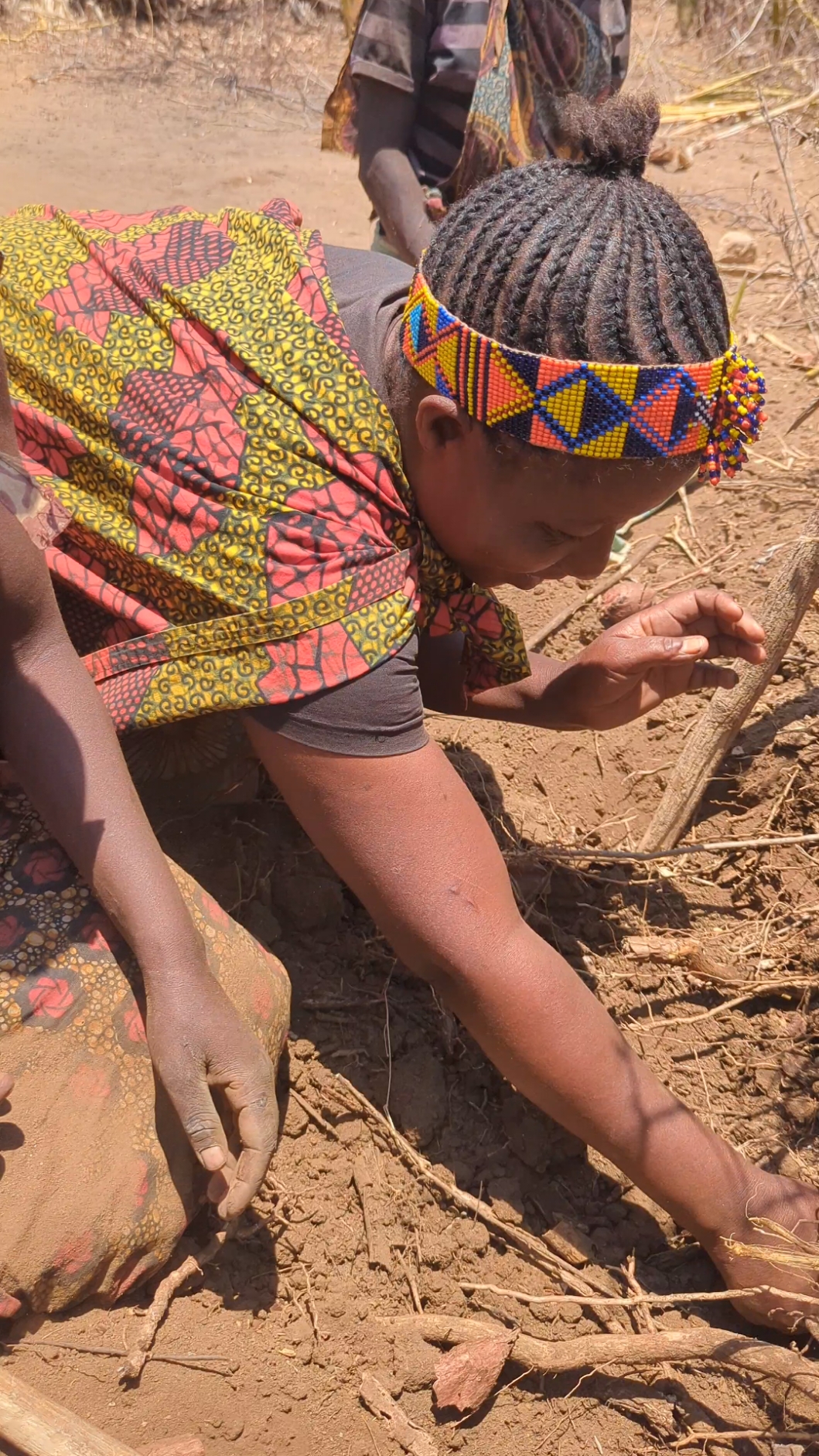 wow 😳 Hadzabe tribe digging holes finds Roots 