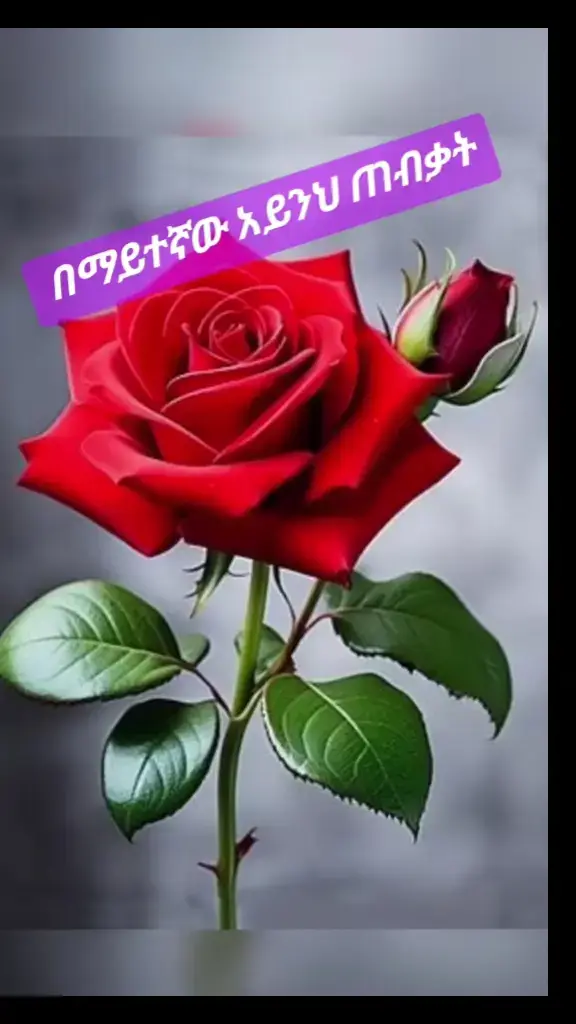 #ሱብሀን #አለህ #❤️❤️❤️ 