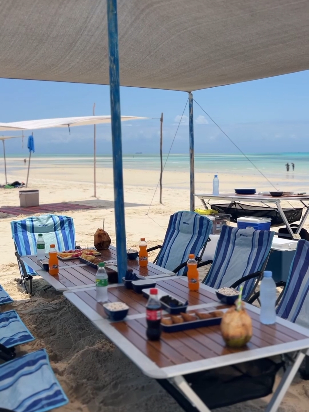 Book your reef and beach tour with us today for a perfect blend of experiences: Start with an awesome view of the beauty of coral reefs and colourful fish without a splash and finish with quality time on the beach with friends or family.  What a way to spend the day! #zanzibarsubmarine #zanzibar #explorezanzibar #zanzibardestination #reefandbeachtour 