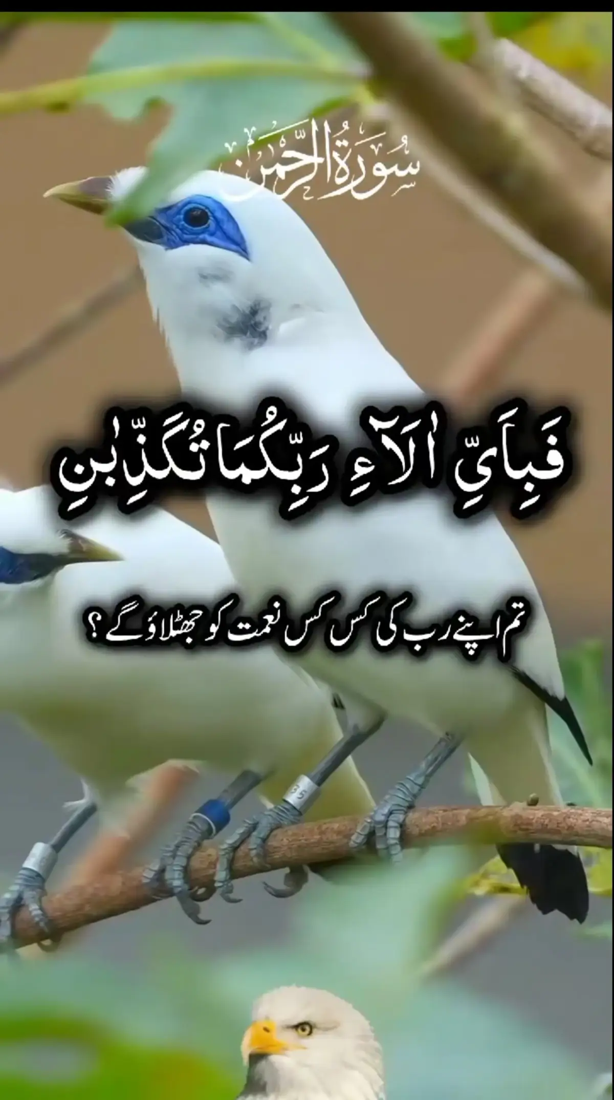 #💞🕋🤲💕🕋💞🤲🕋💕💞🕋🤲💕 