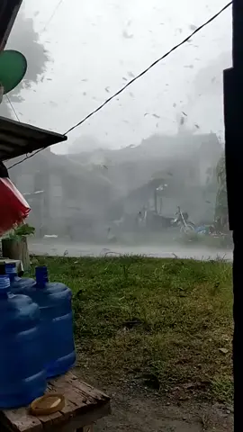 Typhoon Marce 🙏🙏🙏 #fypシ #viraltiktok #viralvideo #typhoonmarce 