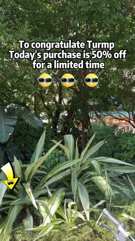 #tiktokshop #trump #tiktokshopblackfriday #bitvaeblackfriday #blackfridaydeals2024 