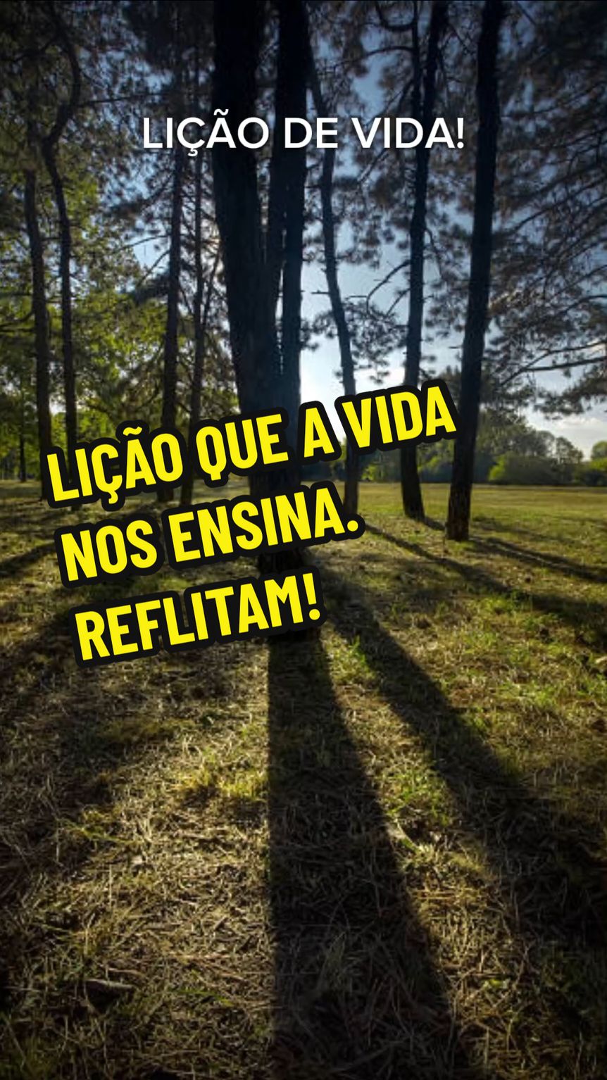 LIÇÃO QUE A VIDA NOS ENSINA.  REFLITAM!#creatorsearchinsights #liçãodevida #textoparalevarparavida 