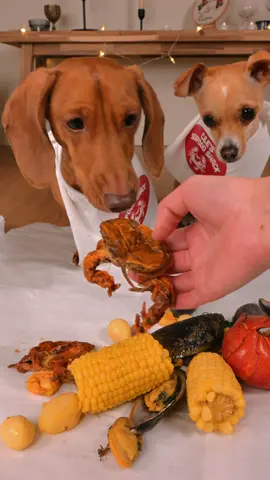 They’re on a see food diet 