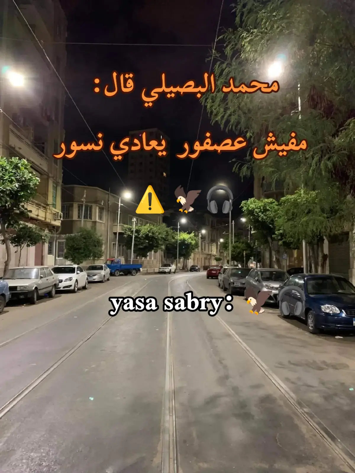 مفيش عصفور يعادي نسور #محمد_البصيلي . . . #مهرجان #اغاني_مسرعه💥 #اغاني_مكتوبة #yasa_sabry🦅🎧