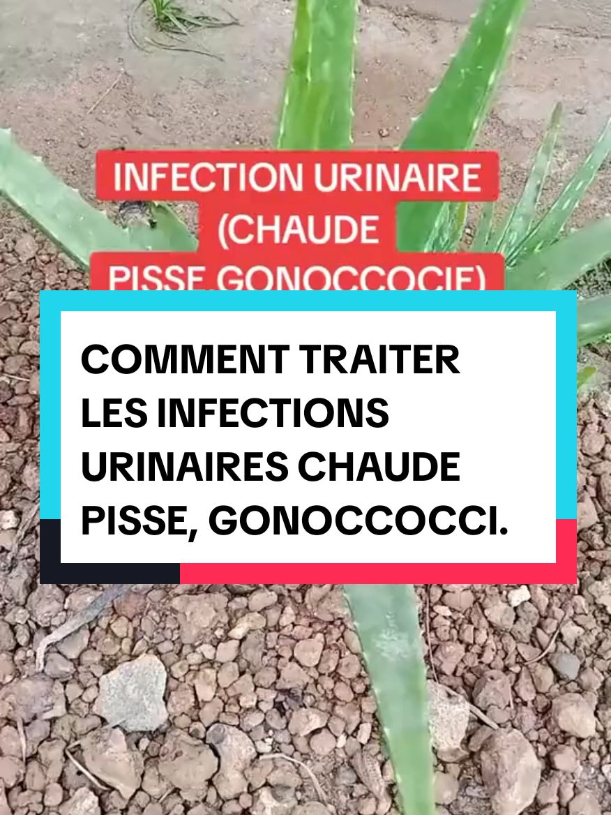 COMMENT TRAITER LES INFECTIONS URINAIRES CHAUDE PISSE, GONOCCOCCI. #guérir #infection #urinaire #chaudepisse #gonoccocie #maladie #traitement #guerrison 