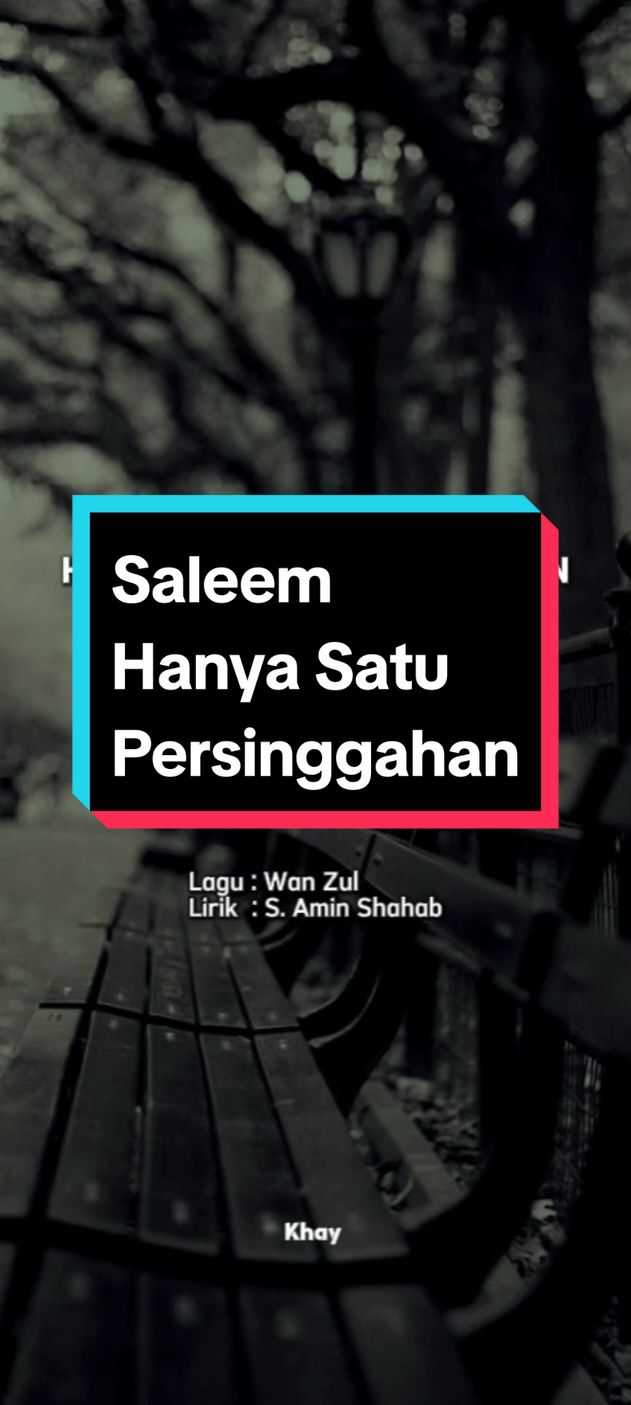 SALEEM | HANYA SATU PERSINGGAHAN  #lagu #liriklagu #saleem 