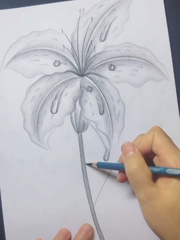 How To Drawing With a Pencil ✏️  . . . #howtodraw #artistsoftiktok #drawingprocess #drawingtutorial #artist #drawingchallenge #draw 