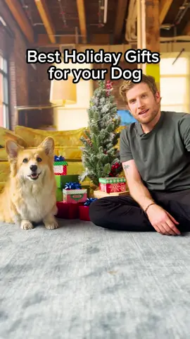 Revealing my dog’s TOP 10 MUST-HAVE gifts for the holidays. @Blue Buffalo is also giving away a $10 eGift Card to spend on toys and treats when you spend $20 on tasty BLUE Treats and KONG dog toys now through December 31! #dogsoftiktok #bluebuffalopartner