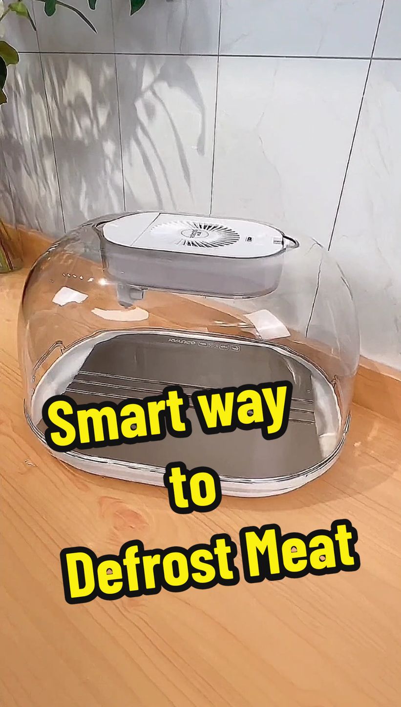 Easy to defrost meat  Smart way to defrost meat #gadgets #homegadgets #usefulgadgets  #goodthing #houseware #homehacks #householditems #tiktokmademebuyit #KitchenHacks #goodthingstoshare #foryou #好物分享 #好物sharing #爆款热卖 #厨房好物 #tiktokgoodbuy #好物推荐 #fyp #trending #kitchenware #lovinghome @TikTok Malaysia