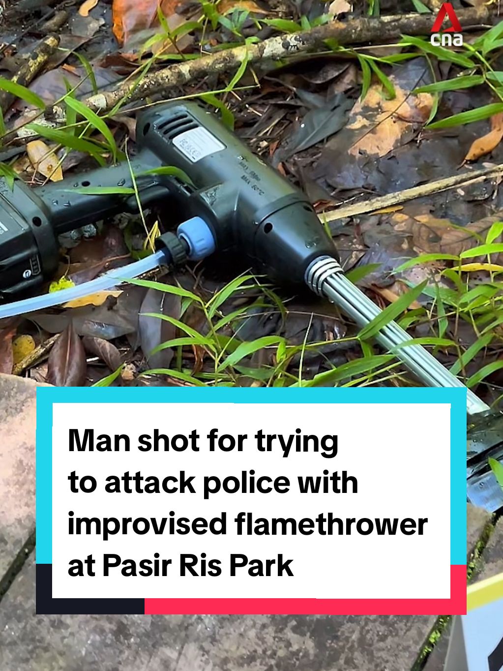 A man was shot by police after he tried to attack them with an improvised flamethrower at Pasir Ris Park on Friday (Nov 8). He allegedly called the police in a bid to lure them to the park and attack them. He was arrested and will be charged with attempted murder. #sgnews #singapore  (Photos and videos: CNA/Wallace Woon; Singapore Police Force)