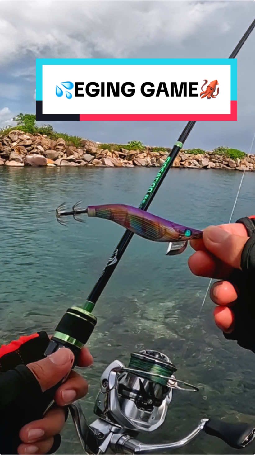 TANDA-TANDA MUSIM CUMI🦑 SENSASI MANCING CUMI-CUMI PINGGIRAN🎣 #fishing #mancingpinggirjalan #mancingcumi #viral #fyp #bandaaceh #strike #squidgame #eging 