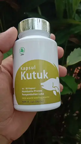 Kapsul kutuk, kapsul ikan gabus #kapsulkutuk  #kapsulkutukpremium  #kapsulikangabus 