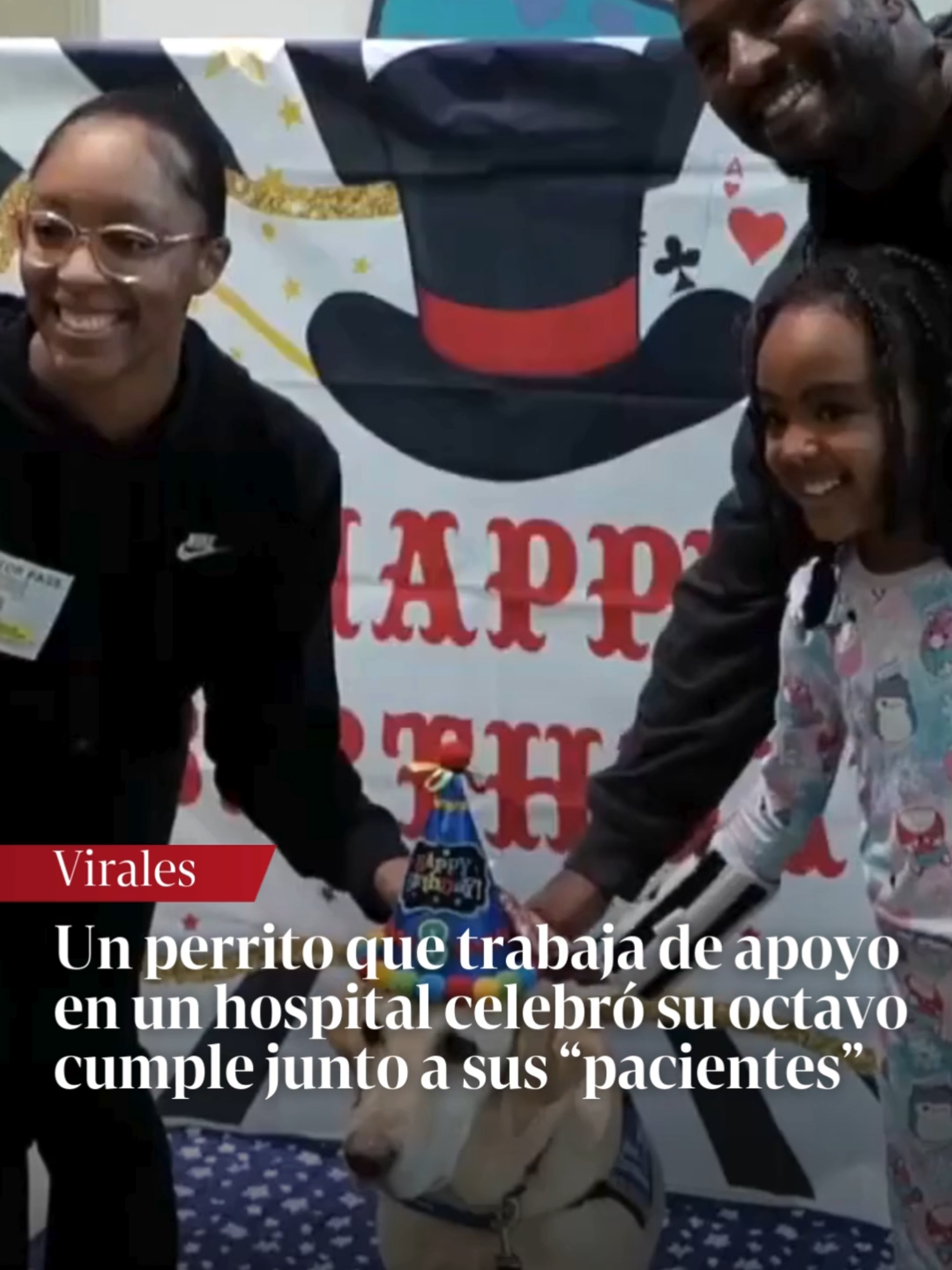 ¡FELIZ CUMPLE, HÉROE! Un perro que trabaja en un hospital infantil desde 2019 celebró recientemente su octavo cumpleaños con estilo, mientras los jóvenes pacientes le cantaban. Fue en el Hospital Infantil Memorial Hermann de Estados Unidos.  Crédito: Children’s Memorial Hermann Hospital via Storyful | #salud #perros