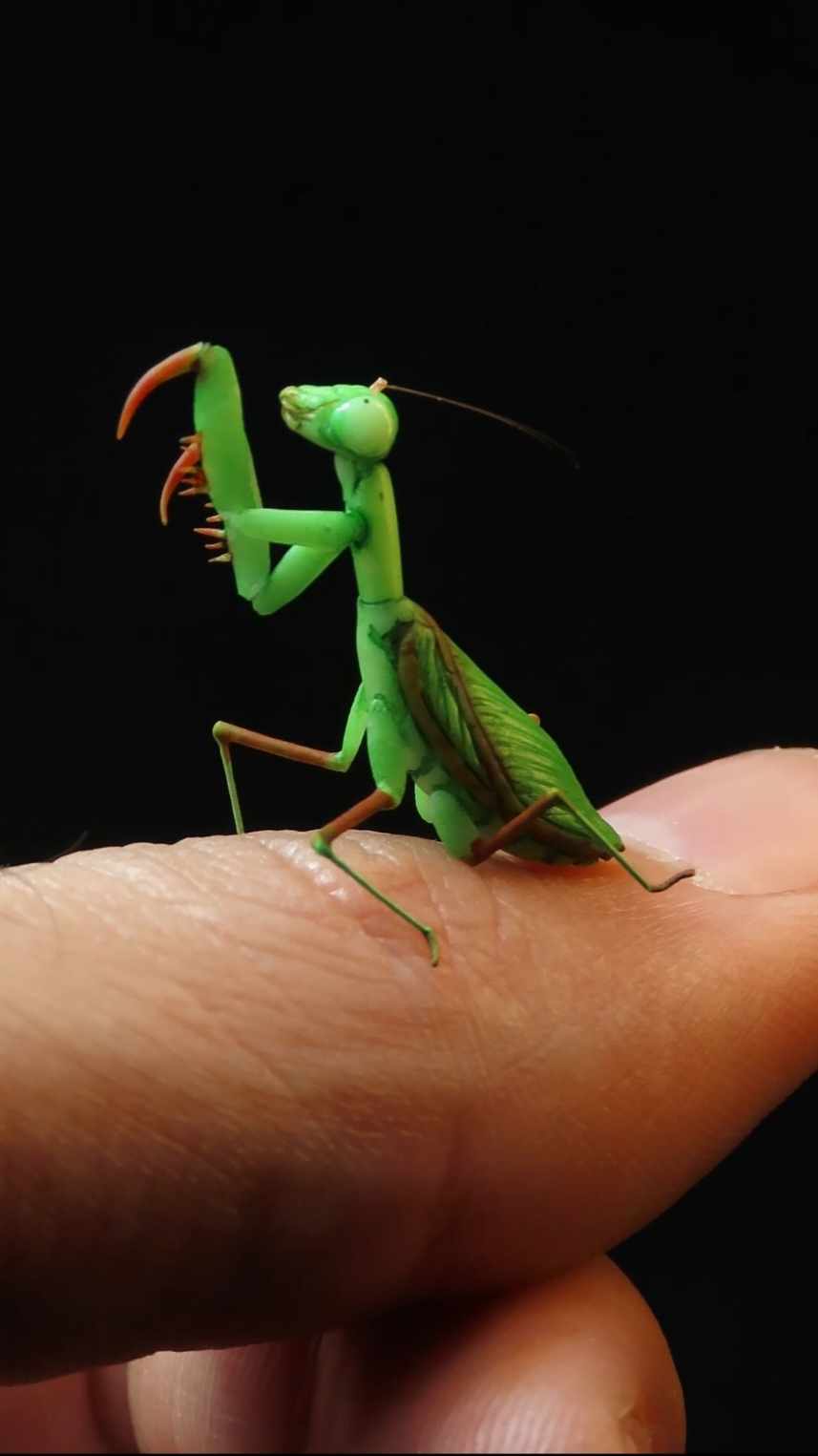 Praying Mantis 💚 . . . #tinythings #minithings #miniature #polymerclay #polymerclayart #mini #miniatures #natureart #prayingmantis #mantis #polymerclayartist #insects #insectart 