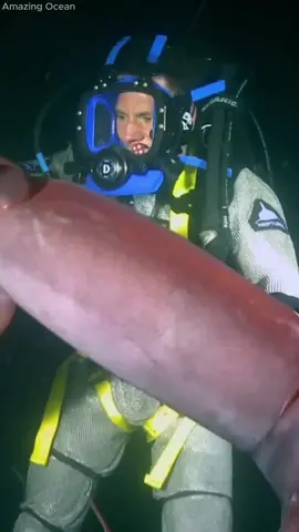 Giant Squid attack #amazingocean #squid 