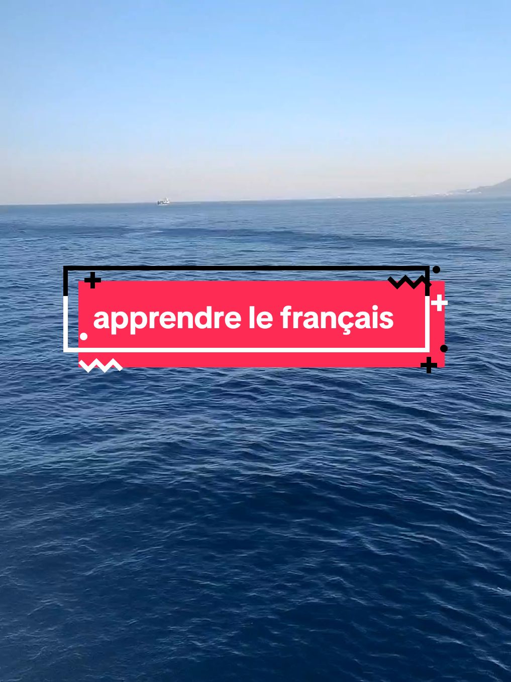 apprendre le français  Gims-naïf#apprendrelefrançais #تعلم_اللغة_الإنجليزية #france #apprendresurtiktok #أغاني_مترجمة 