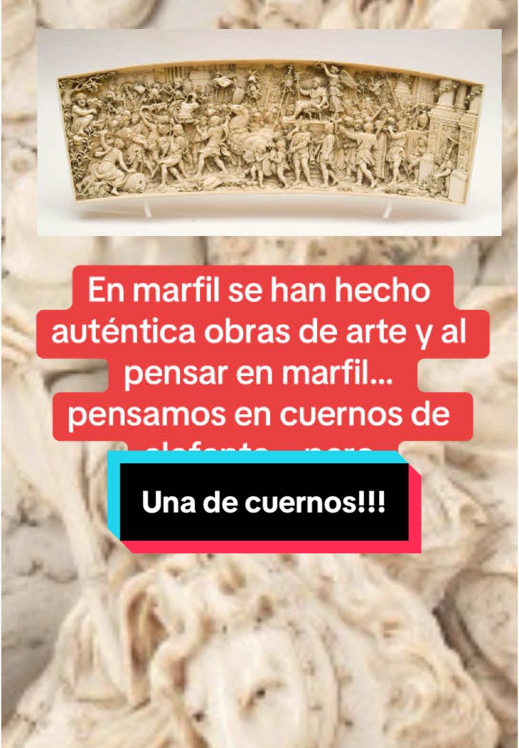 En marfil se han hecho auténtica obras de arte y al pensar en marfil… pensamos en cuernos de elefante… pero #SabiasQue #historia #AprendeEnTikTok #curiosidades #profesor 