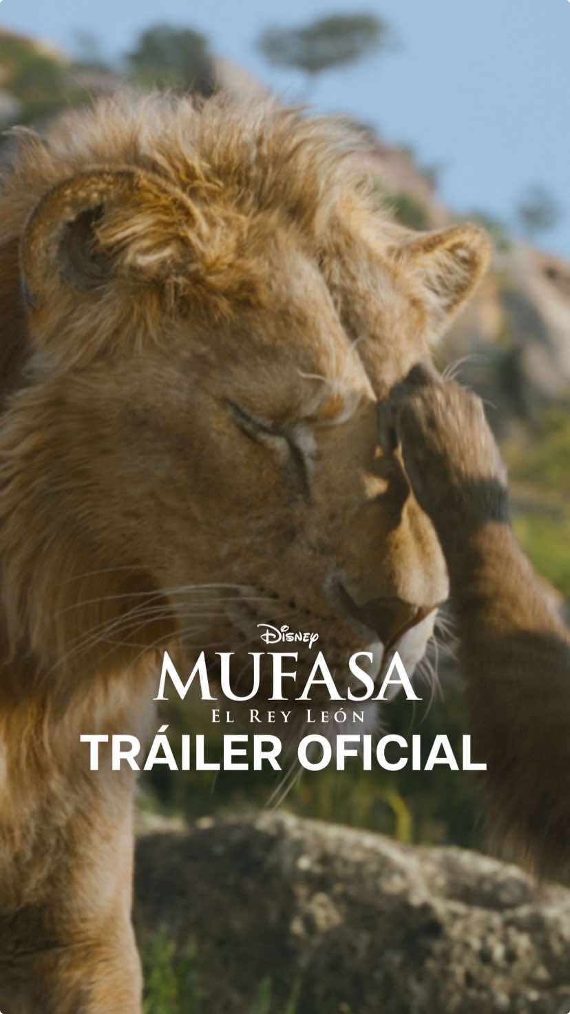 Descubre el viaje que forjó un reino.   Disfruta del nuevo tráiler oficial de #Mufasa: El Rey León. La nueva película de Disney que llega solo a los cines el 20 de diciembre.